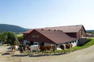 FARM MILK PRODUCERS-Auvergne-UHT-MOUNTAIN-DAIRY-SLVA
